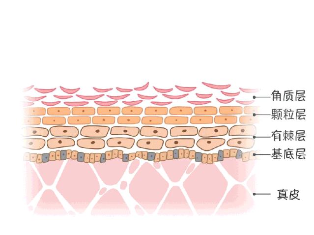 战痘消好用吗,战痘多年毫无成效你真的了解它吗