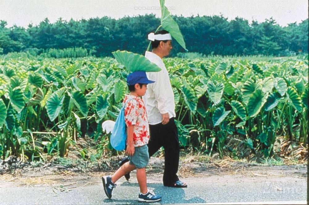 久石让《summer》将再次响起，菊次郎的夏天能否勾起你的美好回忆