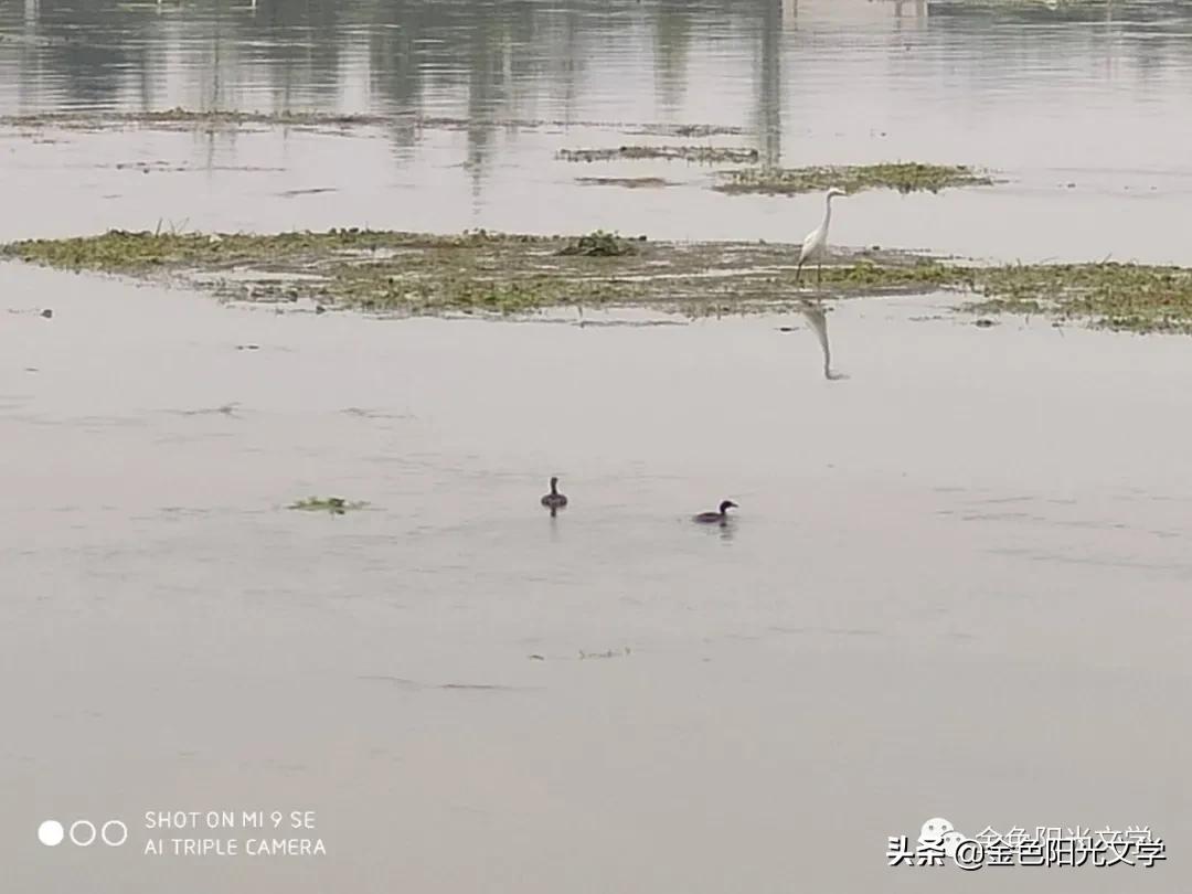 读书交流会英语,读书交流会流程