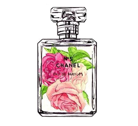 闻香识女人的经验,闻香识女人女人是世界最好的东西