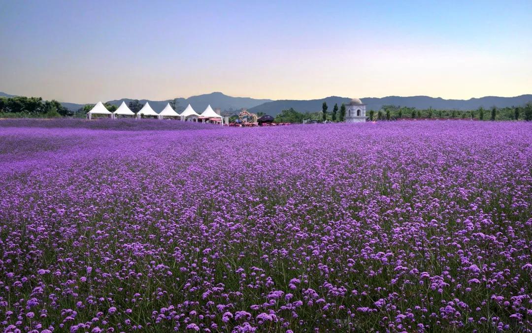 看,这10个项目告诉你公园城市的乡村表达