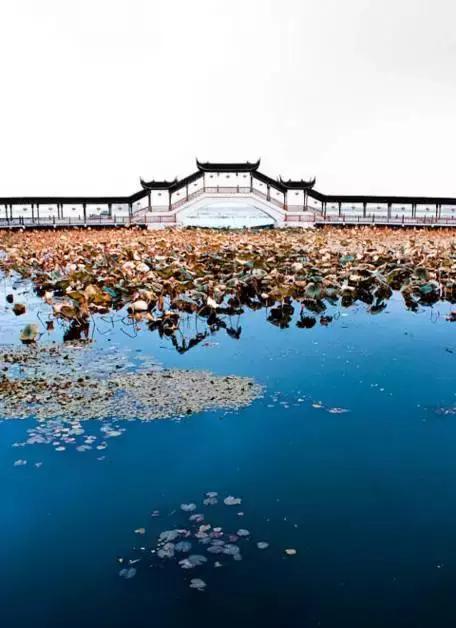 亚洲宜居城市排名2019,中国唯一一个国际评选的宜居城市