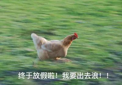 出国被海关劝退护照签证还能用吗,出国被海关劝返签证还能用吗