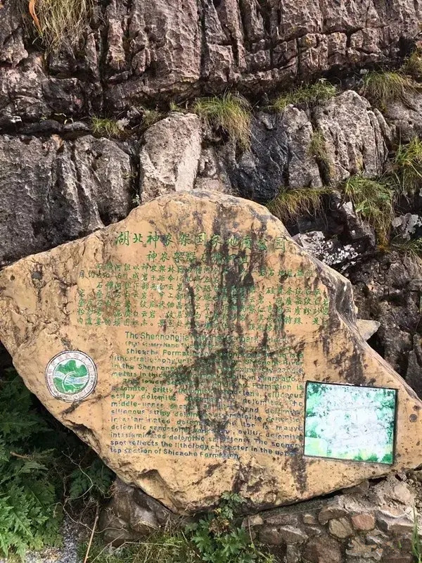 神农架大九湖最美雪景,神农架神农顶大九湖