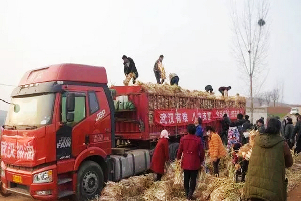 疫情面前熬不下去时就看看他们