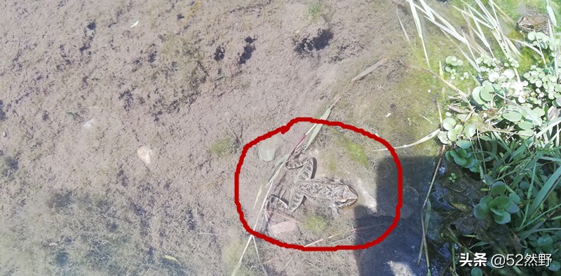 燕山唯一丹霞长嵯，山村溪水野草闲花