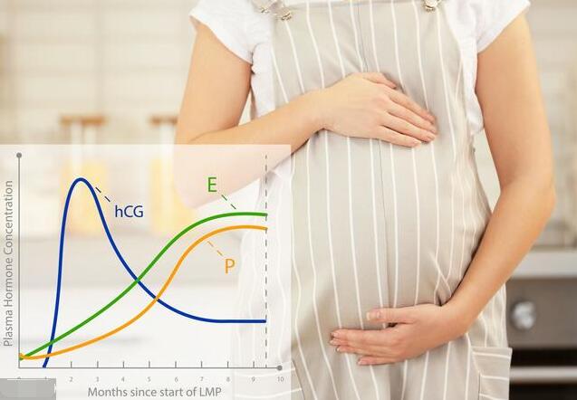 孕酮是什么?孕酮的全面知识详解