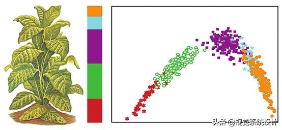 高光谱检测农产品,高光谱成像检测技术的原理