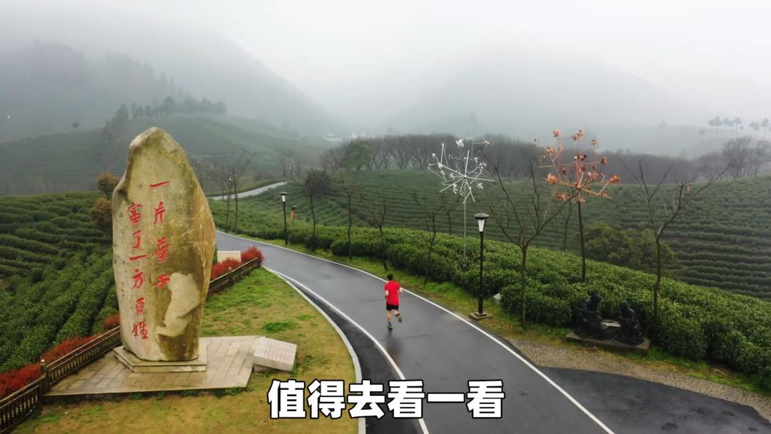 安吉白茶精选名茶的价格,安吉白茶历史视频