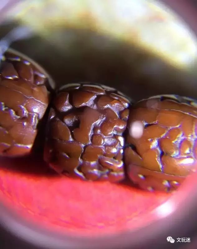 菩提手串长毛发霉有危害,菩提手串长虫子对我们有什么危害