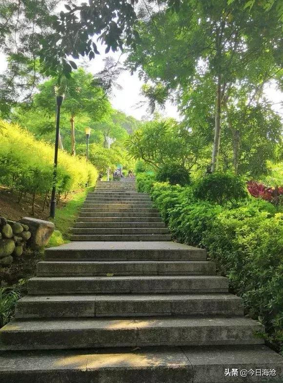 给你1小时，痛快滴玩！海沧版“快乐大本营”福利来袭！