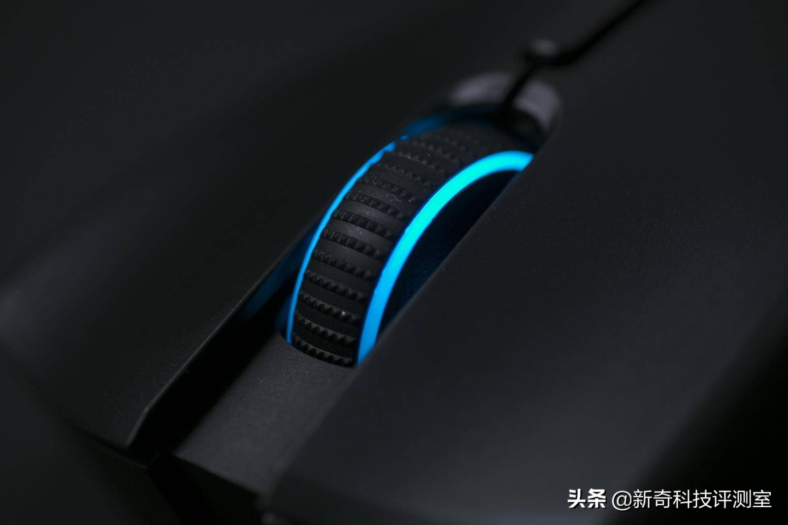 真香警告的电影,真香警告原版免费观看