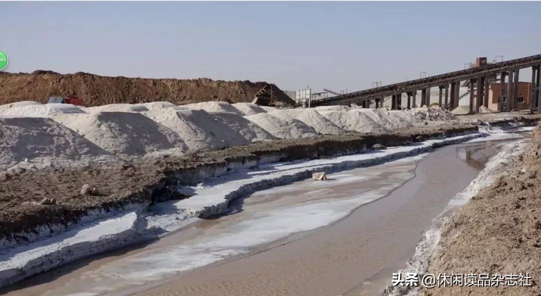 品酒笔记葡萄美酒仍无色,品酒笔记14款常见的优质口粮酒