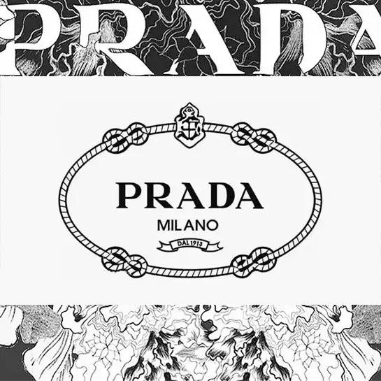 大牌包包干货知识,值得入手的大牌包包入门