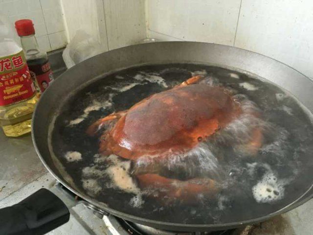 你不知道的13个螃蟹冷知识,螃蟹的冷知识有多可怕