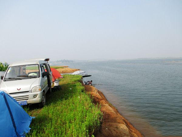 麦芽糖粘小米野钓效果怎么样,麦芽糖蘸小米钓鱼