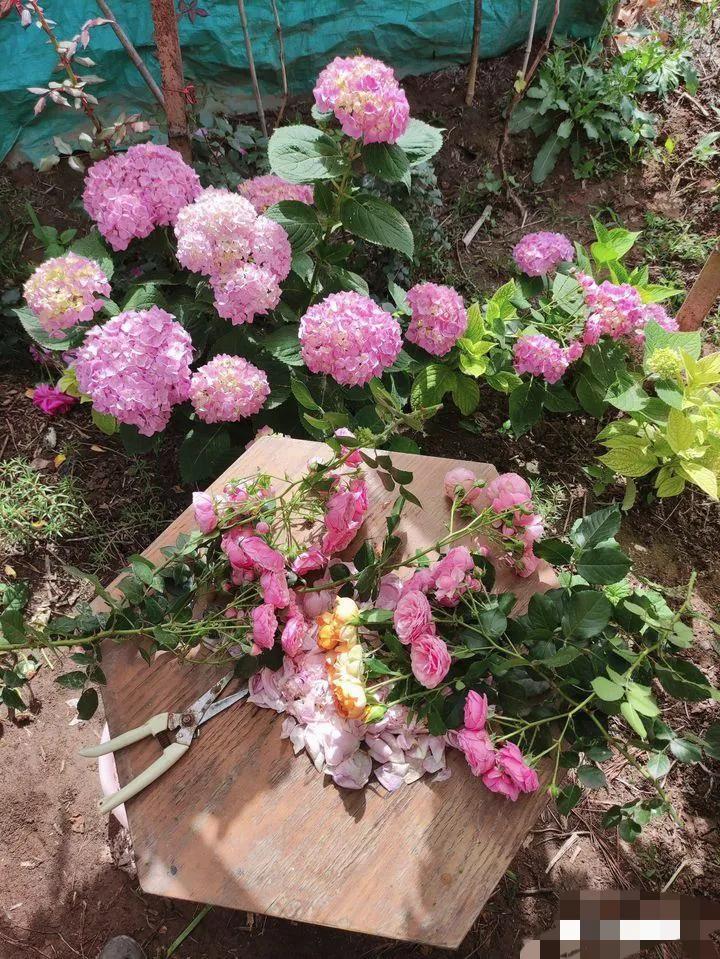 现在小米的质量,小米手机现在质量怎样