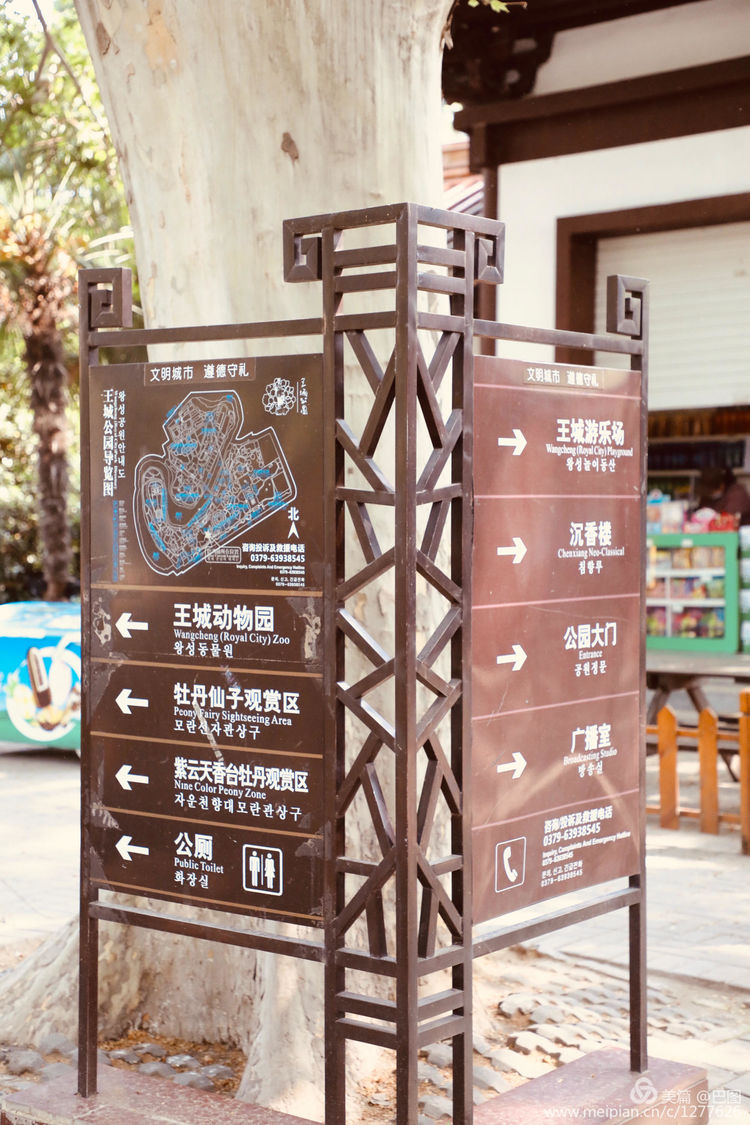 看洛阳牡丹花卉节,洛阳古都牡丹花展