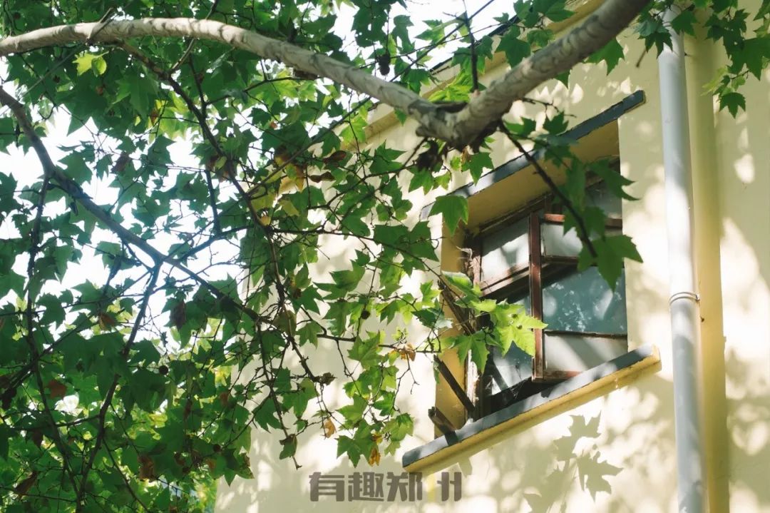 郑州南阳路老工厂,南阳路老店记录