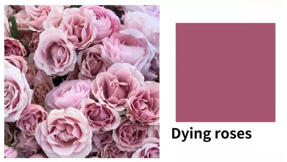 众男星演绎2018秋冬口红大势！