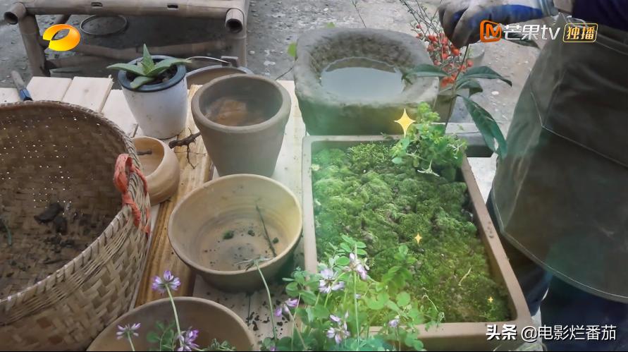 向往的生活收官期待下一季,追完一整部剧为什么越来越困难