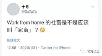 “历经15天，跨越3个国家，我还是买不到口罩”