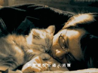 《大海》原唱张雨生:妹妹溺水去世,自己车祸身亡,父亲癌症去世