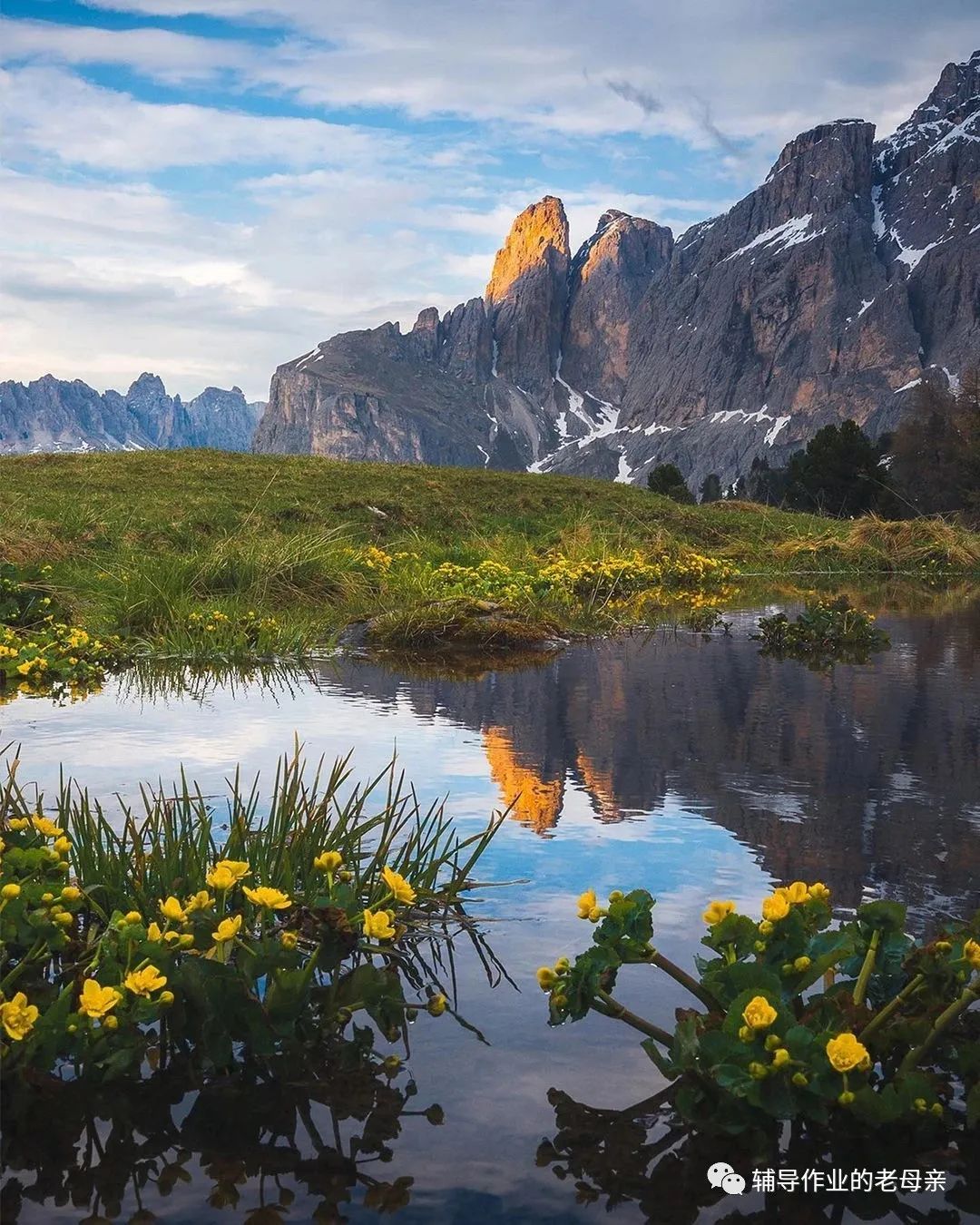 背英文课文,怎么快速背英文课文