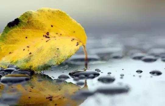 安慰心累的心灵鸡汤经典语录,励志爱情心灵鸡汤语录简短大全