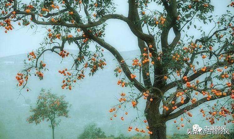 芳华岁月，井陉北张村的第一台缝纫机