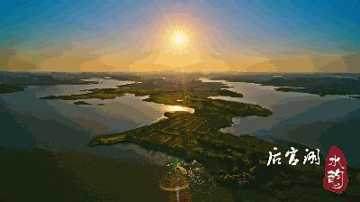 武汉蔡甸后官湖湿地公园,武汉后官湖湿地公园门票