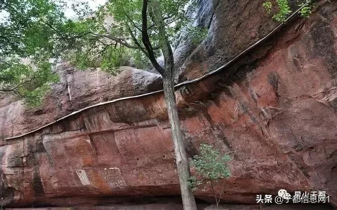 写罗田岩的作文,美文梵净山