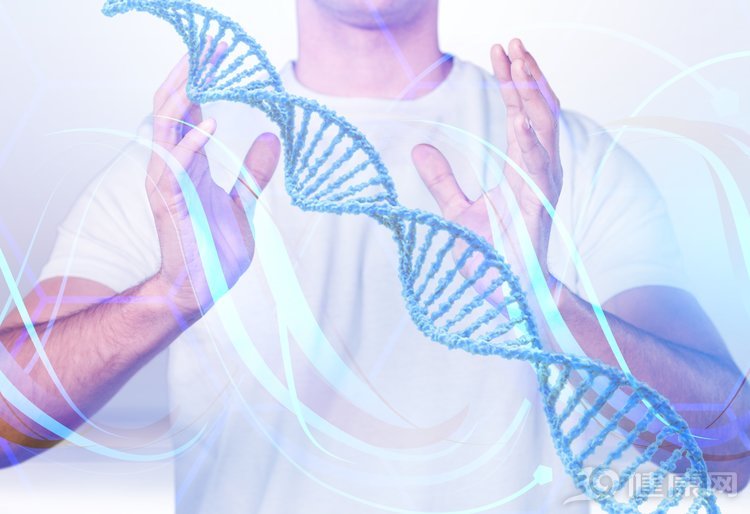 雄激素是男人的“象征”，几个方法，提高体内雄激素含量