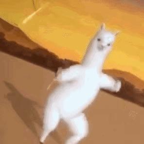 神兽羊驼吐口水,羊驼为什么吐口水表情包