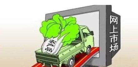 回农村创业项目,大学生回农村创业