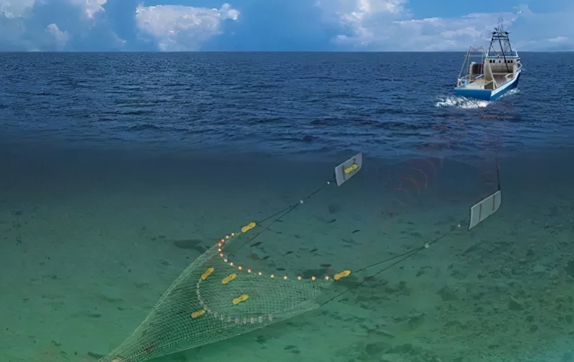 地球上的bug却解决了世界人口增长所需的食品问题