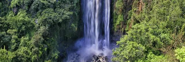 迪士尼狮子王,狮子王是迪士尼还是梦工厂