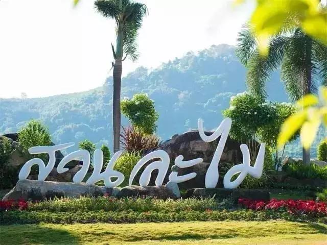 泰国芒果自助,泰国吃喝玩乐攻略榴莲自助餐