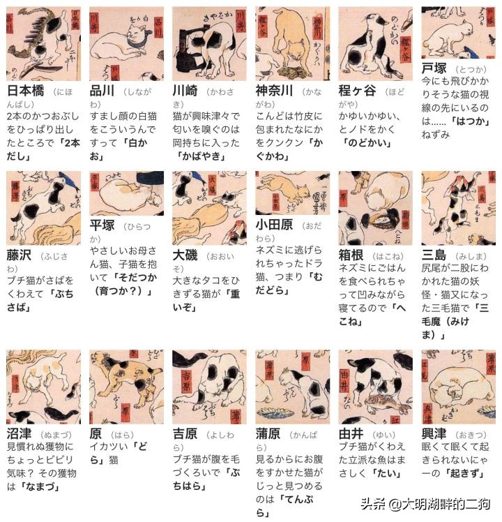 日本皇室特别喜欢给动物封官,每一个级别都比大名高