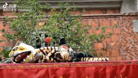 厦门同安周末踏青好去处,厦门岛内踏青景点大全