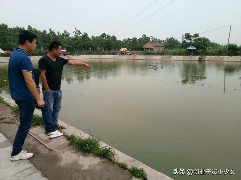 泥鳅养殖怎么做好赚钱,养泥鳅养出一条致富路