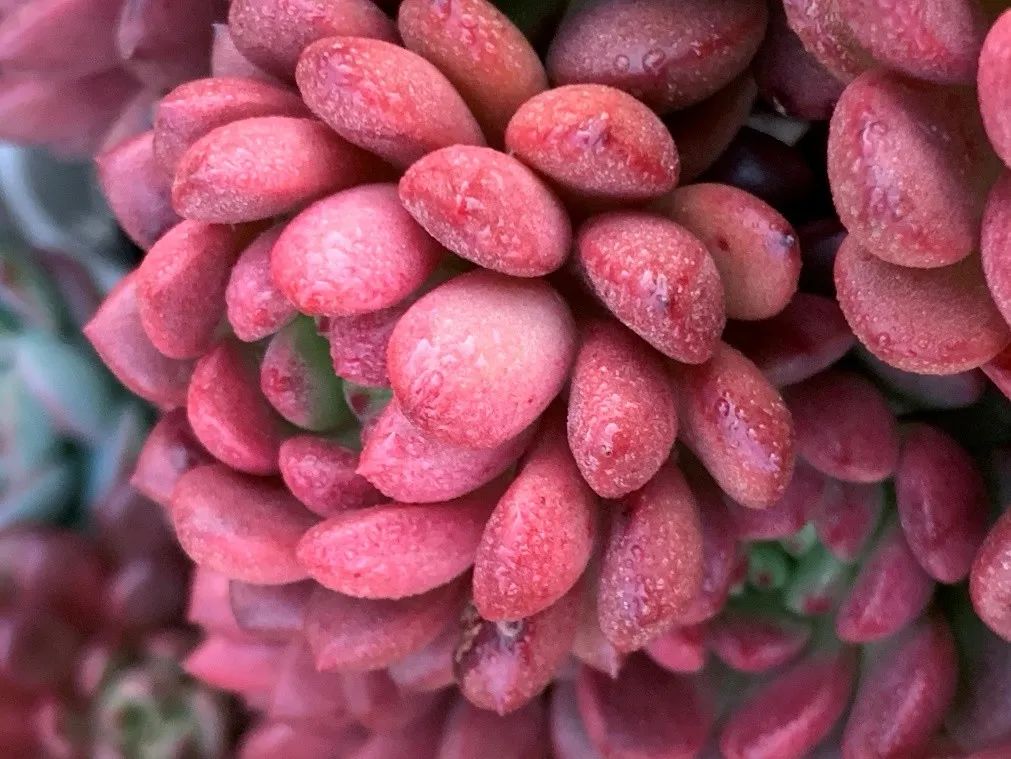 禁足的日子收获颇多,禁足