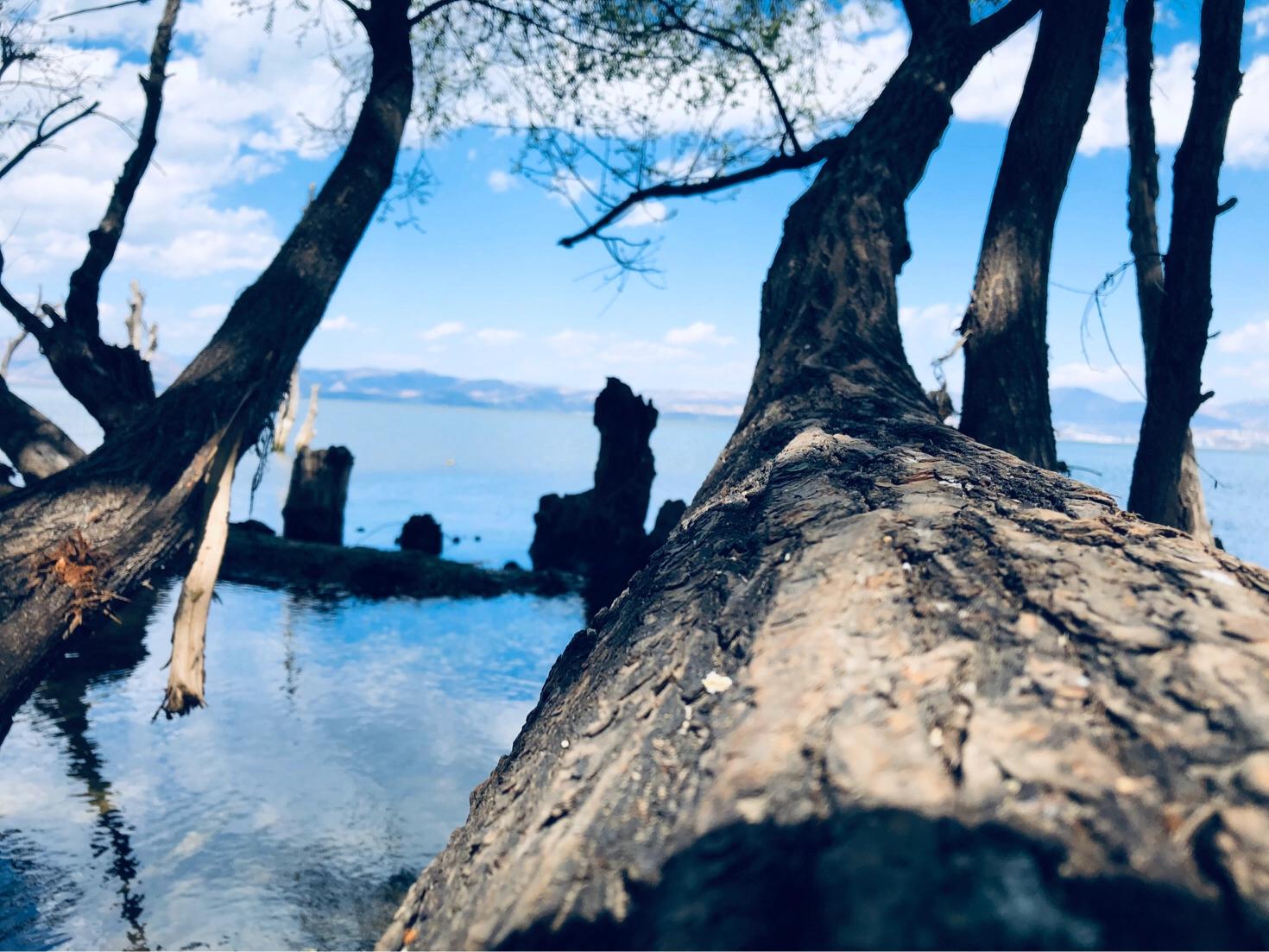 大理环海西路有哪些景点,你向往去的地方