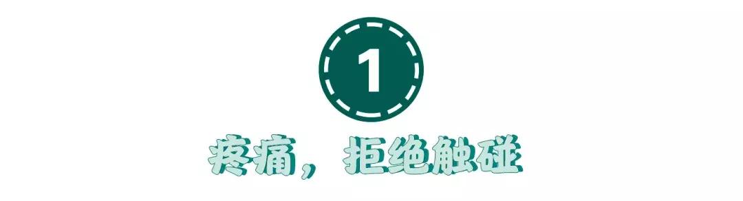 猫咪狗狗骨折了怎么办？扒一扒宠物“骨子里”的那些事