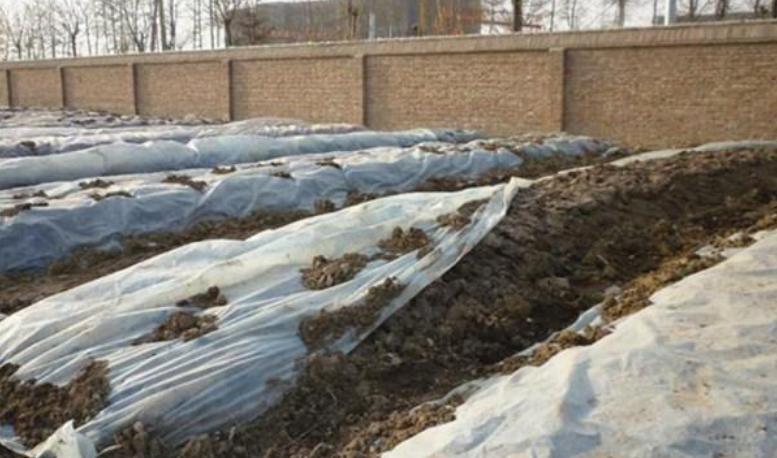 牛粪养殖蚯蚓技术视频教程,牛粪蚯蚓养殖合法