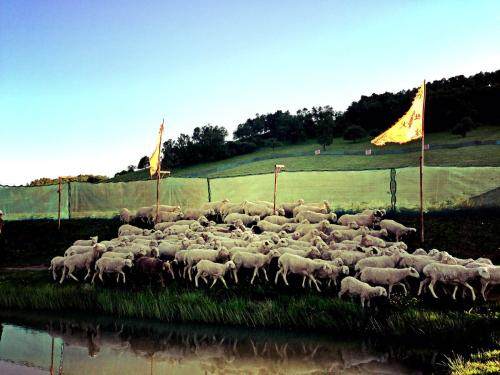 宝鸡旅游关山牧场,宝鸡到关山牧场自驾游攻略