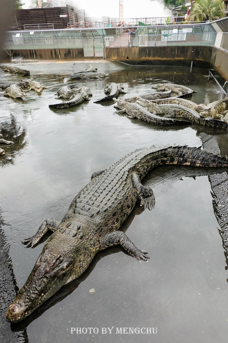 日本的哪个地方温泉最出名,日本最野的温泉