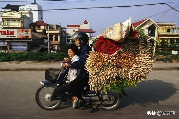 越南十八怪民俗文化 (越南经典民俗)