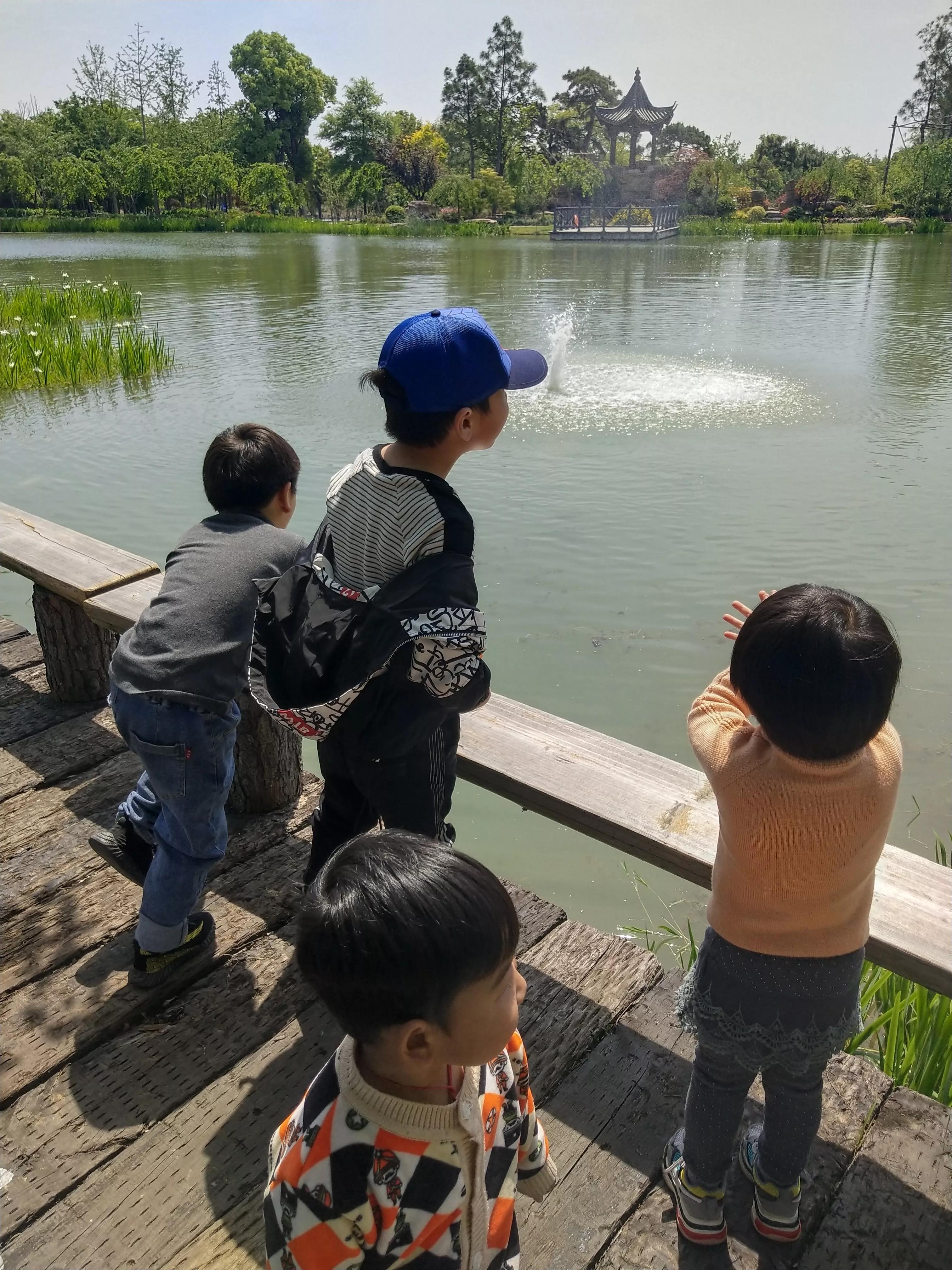 南京市溧水区三叶梦华苑,溧水梦华苑最新消息