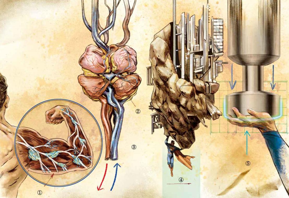 蝙蝠侠揭秘系列,蝙蝠侠人体实验